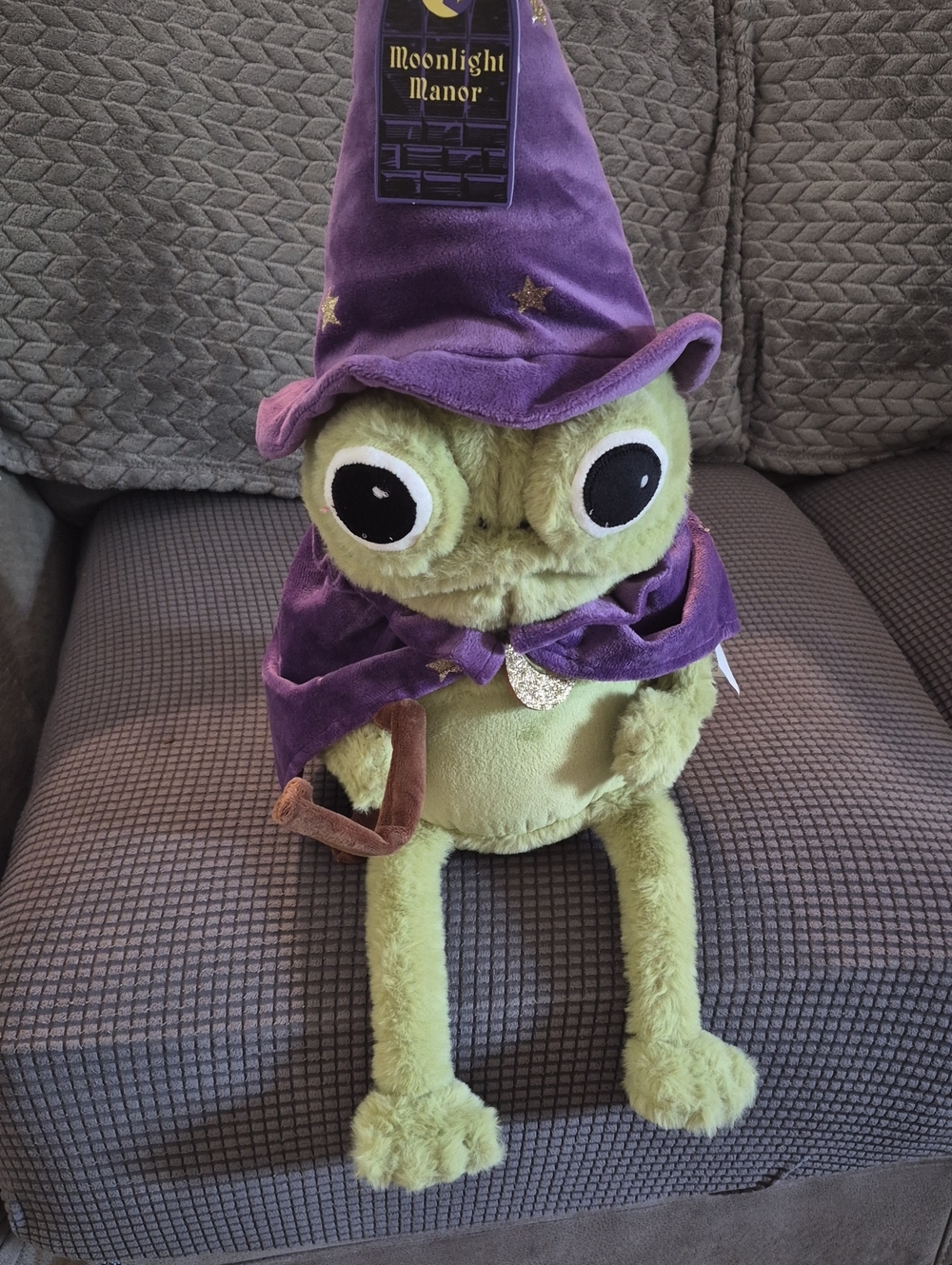 Plush Frog Wizard - Green with Purple Hat